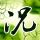 A股算力龙头一字涨停